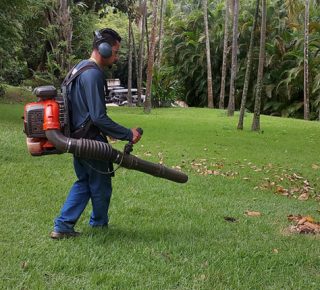 arbserv-produtos-gerenciamento-de-jardins