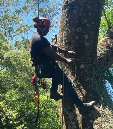 arbserv-produtos-acesso-por-cordas-3